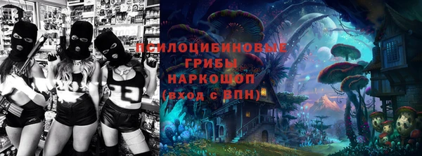 ешки Богданович